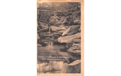 Looking up the Ravine White Sulphur Springs, New York Postcard