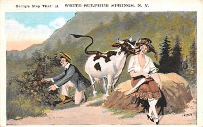 Georgie Stop that White Sulphur Springs, New York Postcard