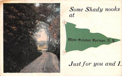 Greetings From White Sulphur Springs, New York Postcard