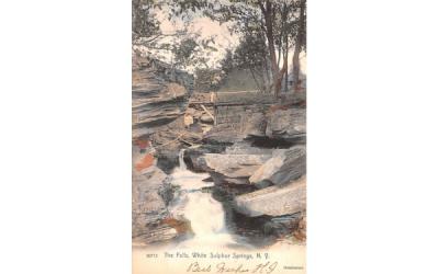 The Falls White Sulphur Springs, New York Postcard
