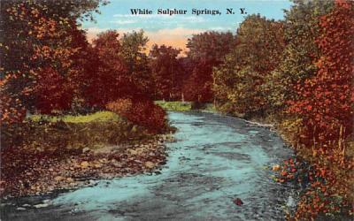Water View White Sulphur Springs, New York Postcard