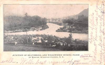 Junction of Beaverkill & Willowemoc During Flood New York Postcard