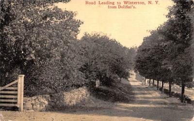 Road Leading Winterton, New York Postcard