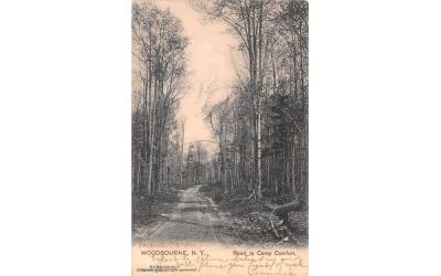 Road to Camp Comfort Woodbourne, New York Postcard