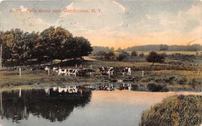 Farm Scene Woodbourne, New York Postcard