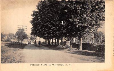 Street Scene Woodridge, New York Postcard