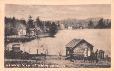 General View White Lake, New York Postcard