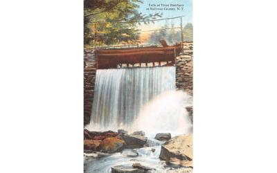 Falls at Trout Hatchery White Lake, New York Postcard