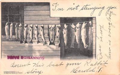 Fish Catch White Lake, New York Postcard