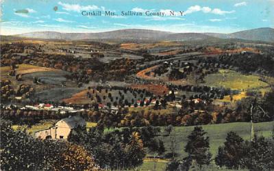 Catskill Mountains White Lake, New York Postcard