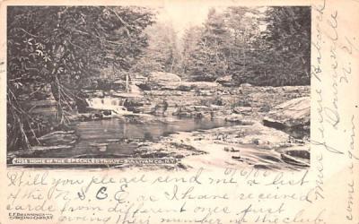 Home of the Speckled Trout White Lake, New York Postcard