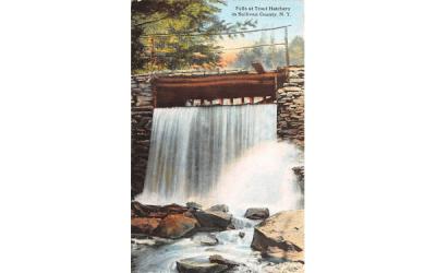 Falls at Trout Hatchery White Lake, New York Postcard