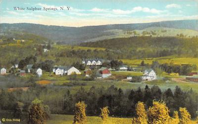 View of White Sulpher Springs, New York Postcard