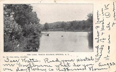The Lake White Sulpher Springs, New York Postcard