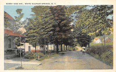 Sunny Side Ave White Sulpher Springs, New York Postcard