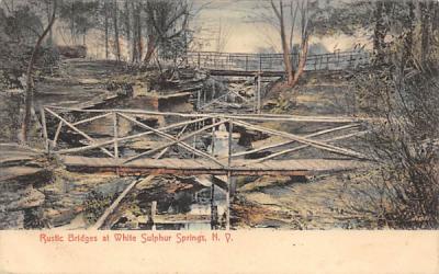 Rustic Bridges White Sulpher Springs, New York Postcard