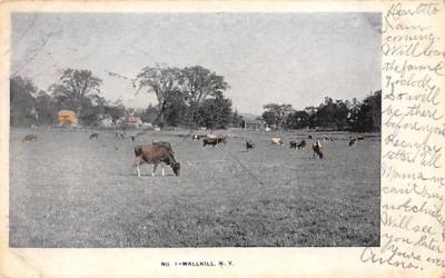 Farm Wallkill, New York Postcard