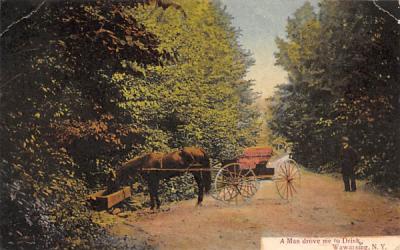 Horse and Carriage Wawarsing, New York Postcard