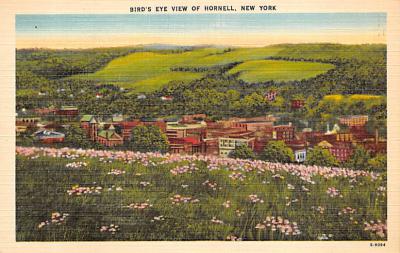 Hornell NY