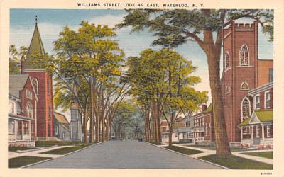 Williams Street Waterloo, New York Postcard