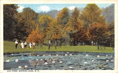 Lily Pond Watkins Glen, New York Postcard