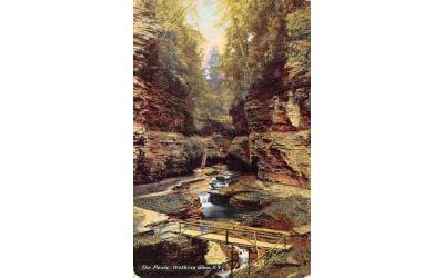 The Pools Watkins Glen, New York Postcard