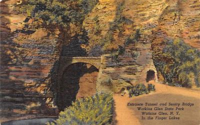 Entrance Tunnel Watkins Glen, New York Postcard