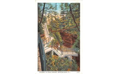 Stairway to Point Lookout Watkins Glen, New York Postcard