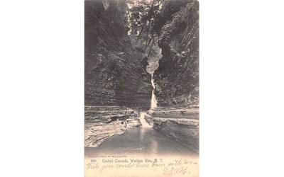 Central Cascade Watkins Glen, New York Postcard