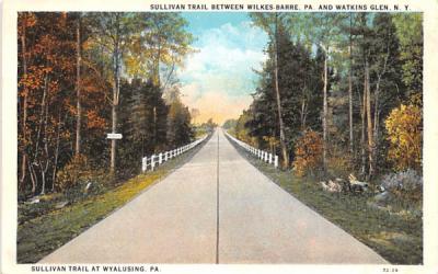Sullivan Trail Watkins Glen, New York Postcard