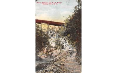 RR Bridge Watkins Glen, New York Postcard