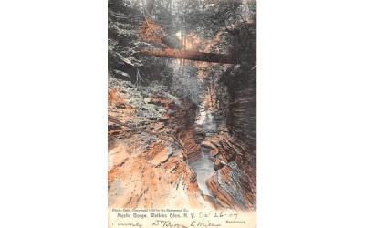 Mystic Gorge Watkins Glen, New York Postcard