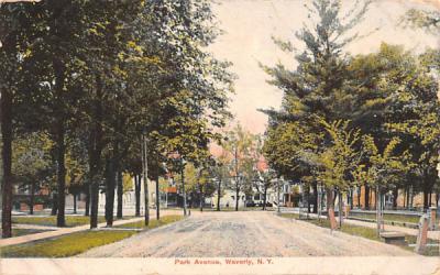Park Avenue Waverly, New York Postcard