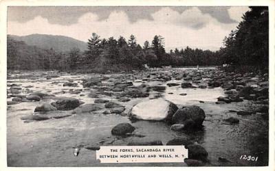 The Forks Wells, New York Postcard