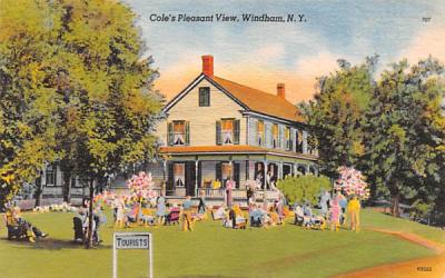 Cole's Pleasant View Windham, New York Postcard
