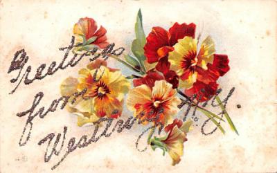 Greetings from Westirny, New York Postcard