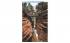 Cavern Gorge Watkins Glen, New York Postcard