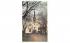 ME Church & Parsonage Wayland, New York Postcard