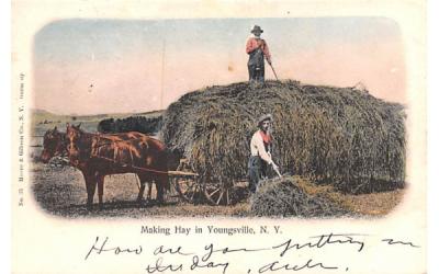 Making Hay Youngsville, New York Postcard
