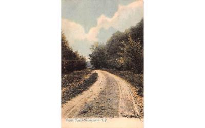 North Road Youngsville, New York Postcard