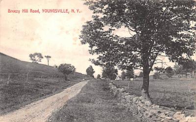 Breezy Hill Road Youngsville, New York Postcard
