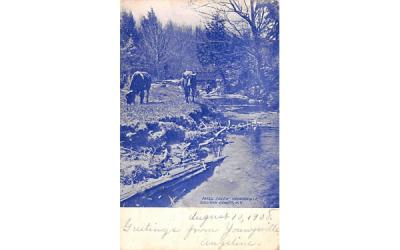 Mill Creek Youngsville, New York Postcard