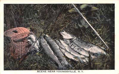 Fish Youngsville, New York Postcard