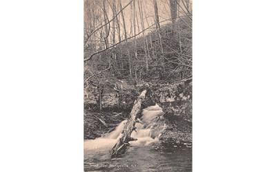 Trout Pool Youngsville, New York Postcard