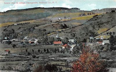 Lower Part of Village Youngsville, New York Postcard
