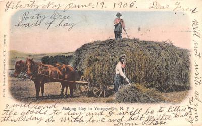 Making Hay Youngsville, New York Postcard