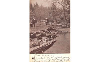 Youngsville Creek New York Postcard
