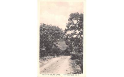 Road to Stump Lake Youngsville, New York Postcard
