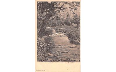 Stream View Youngsville, New York Postcard