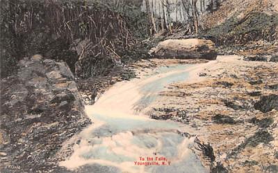 To the Falls Youngsville, New York Postcard